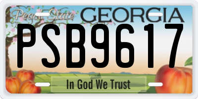 GA license plate PSB9617