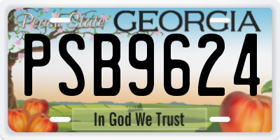 GA license plate PSB9624