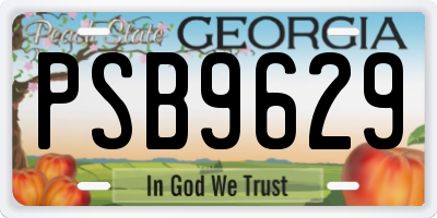 GA license plate PSB9629