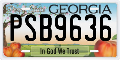 GA license plate PSB9636