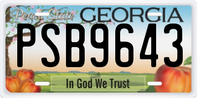GA license plate PSB9643