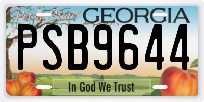 GA license plate PSB9644