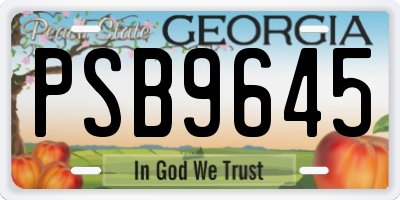 GA license plate PSB9645
