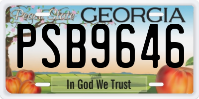 GA license plate PSB9646