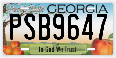 GA license plate PSB9647