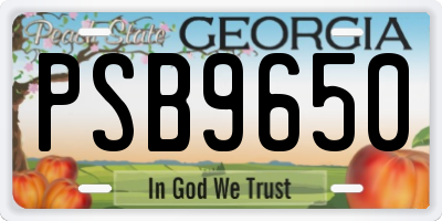 GA license plate PSB9650