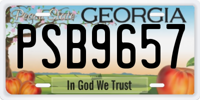 GA license plate PSB9657