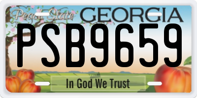 GA license plate PSB9659