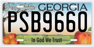 GA license plate PSB9660