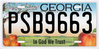 GA license plate PSB9663