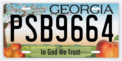 GA license plate PSB9664
