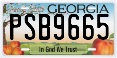 GA license plate PSB9665