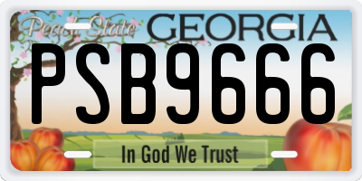 GA license plate PSB9666