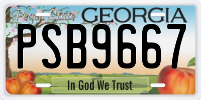 GA license plate PSB9667