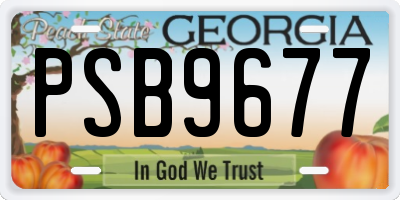 GA license plate PSB9677