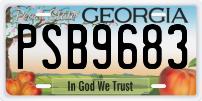 GA license plate PSB9683