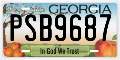 GA license plate PSB9687