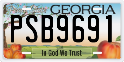GA license plate PSB9691