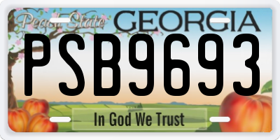 GA license plate PSB9693