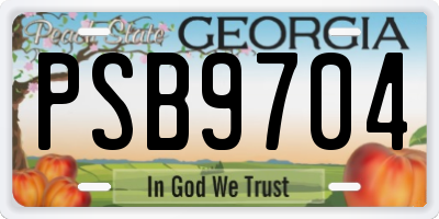 GA license plate PSB9704