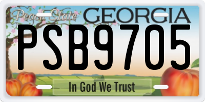 GA license plate PSB9705