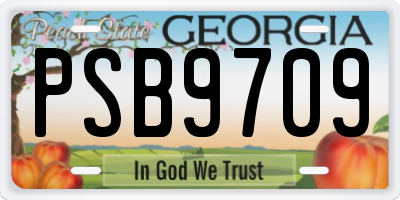 GA license plate PSB9709