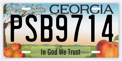 GA license plate PSB9714
