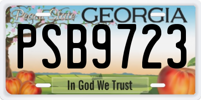 GA license plate PSB9723