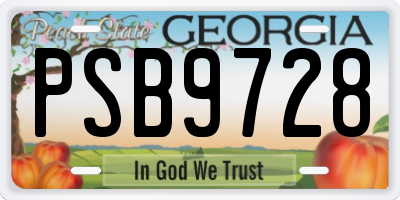 GA license plate PSB9728