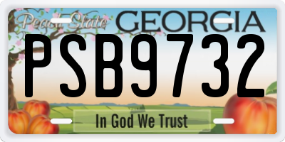 GA license plate PSB9732