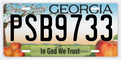 GA license plate PSB9733