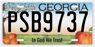 GA license plate PSB9737