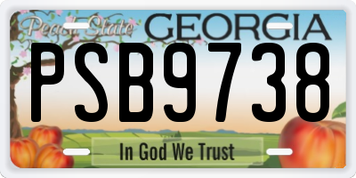 GA license plate PSB9738