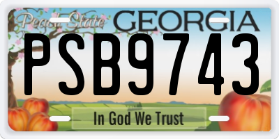 GA license plate PSB9743