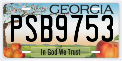 GA license plate PSB9753