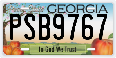 GA license plate PSB9767