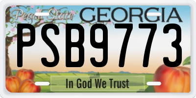 GA license plate PSB9773