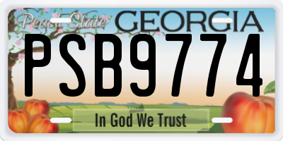 GA license plate PSB9774
