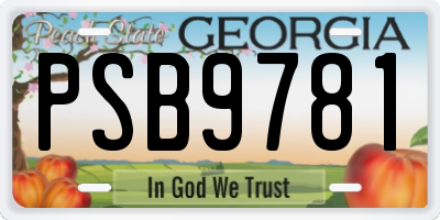 GA license plate PSB9781