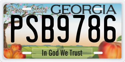 GA license plate PSB9786