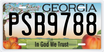 GA license plate PSB9788