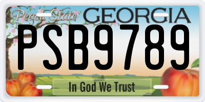 GA license plate PSB9789