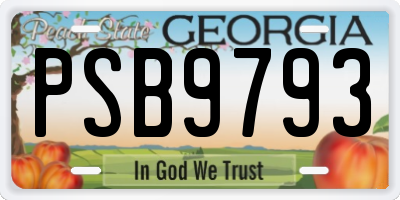 GA license plate PSB9793
