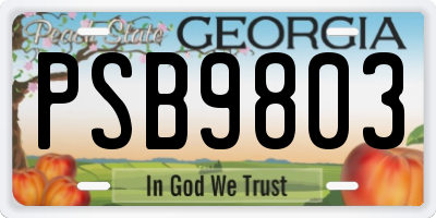 GA license plate PSB9803