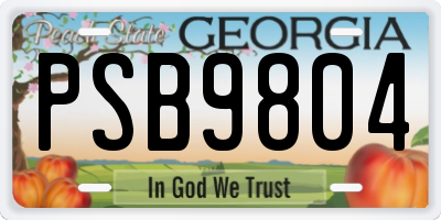 GA license plate PSB9804