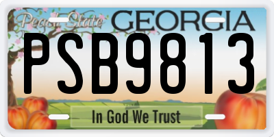 GA license plate PSB9813