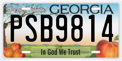 GA license plate PSB9814