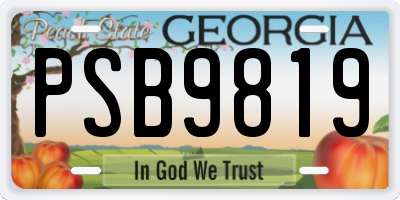 GA license plate PSB9819