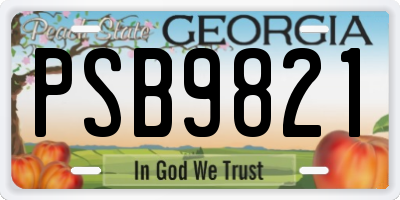 GA license plate PSB9821