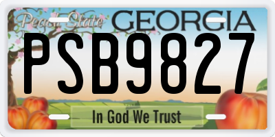 GA license plate PSB9827